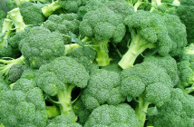 Brokolice obsahuje životně důležité látky pro kosti a svaly.