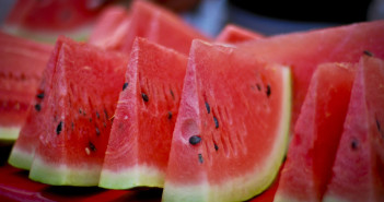 Meloun je vhodnou součástí nejrůznějších diet a zdravého způsobu stravování, jeho porce zasytí na několik hodin.